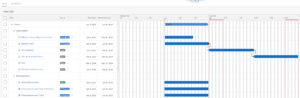 SAP S/4HANA Project and Program Management